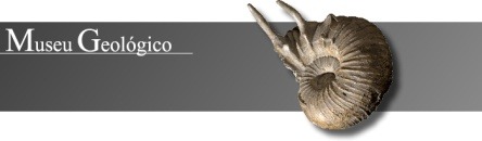 http://1.bp.blogspot.com/_1HCvWars6R0/TSOT8rZDe9I/AAAAAAAACe0/Ze0rrY9PZBA/s1600/museu+geol%25C3%25B3gico.jpg
