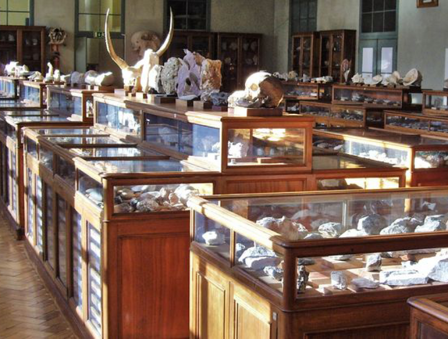 Museu Geociências IST