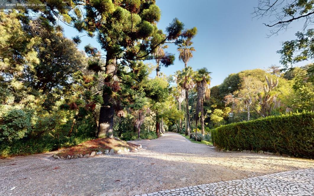 Jardim Botânico de Lisboa Virtual